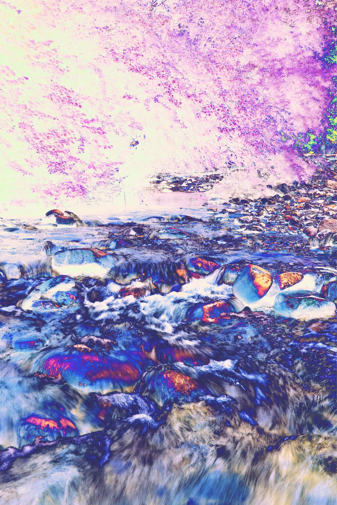 Dépeindre la Rivière